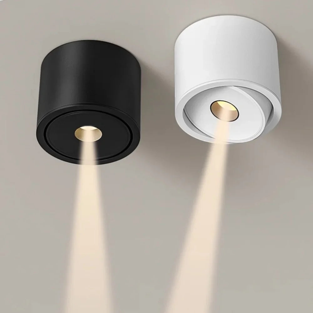 Deloran – Dimmable Ceiling Spotlight with Narrow Beam Angle