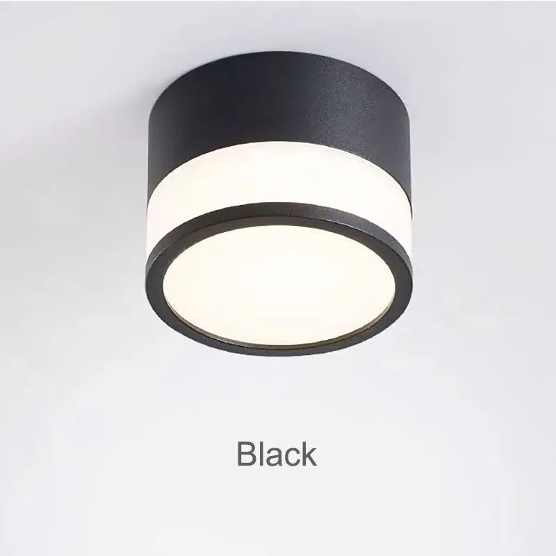 Elyran - Nordic LED Surface Downlight Dimmable