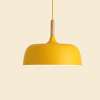 Modern metal pendant lamp with wooden accent – minimalist Scandinavian style