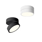 Modern Adjustable LED Ceiling Lamp