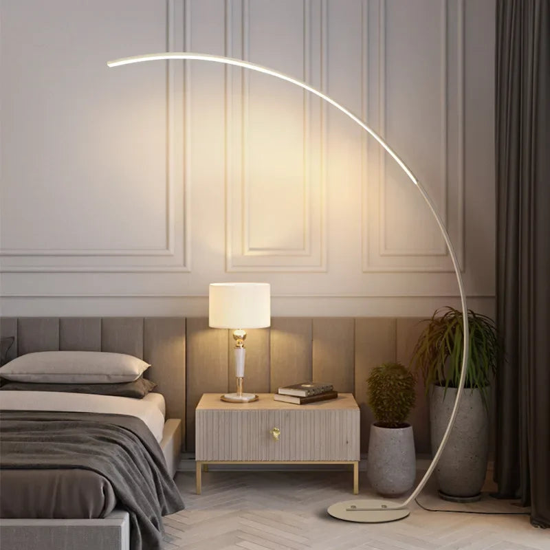 Modern LED Floor Lamp in Arch Shape
