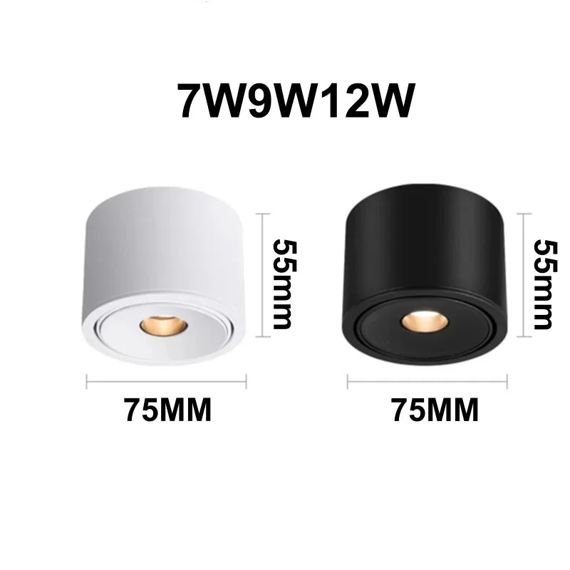 Deloran – Dimmable Ceiling Spotlight with Narrow Beam Angle