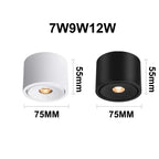 Deloran – Dimmable Ceiling Spotlight with Narrow Beam Angle