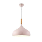 Modern pendant lamp with a rounded shape