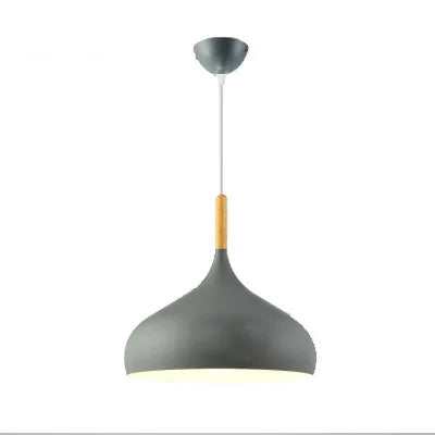 Modern pendant lamp with a rounded shape