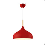 Modern pendant lamp with a rounded shape