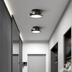 Modern Ceiling Light Fixture with Glass Shade
