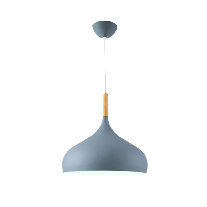 Modern pendant lamp with a rounded shape
