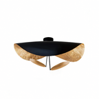 Chazelle Leaf Shade Pendant/Ceiling Lamp