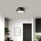 Modern Ceiling Light Fixture with Glass Shade