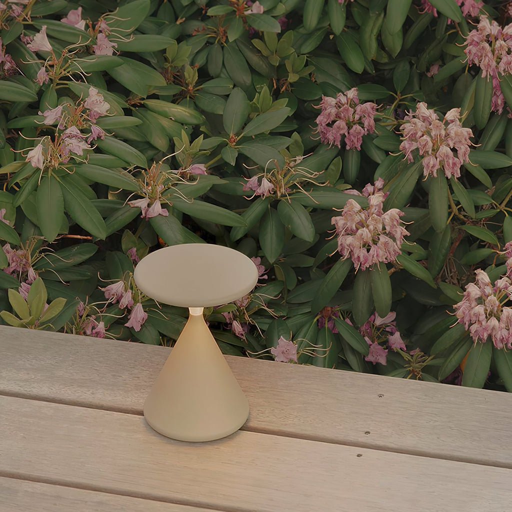 Salt & Pepper Atmosphere Table Lamp Built-in Battery