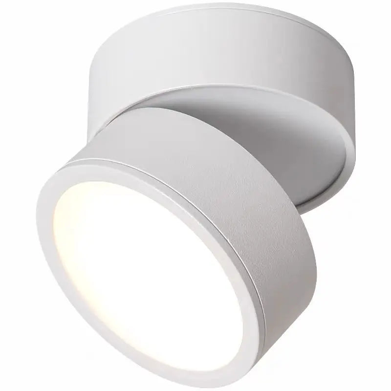 Modern Adjustable LED Ceiling Lamp