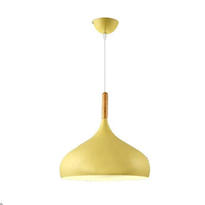 Modern pendant lamp with a rounded shape