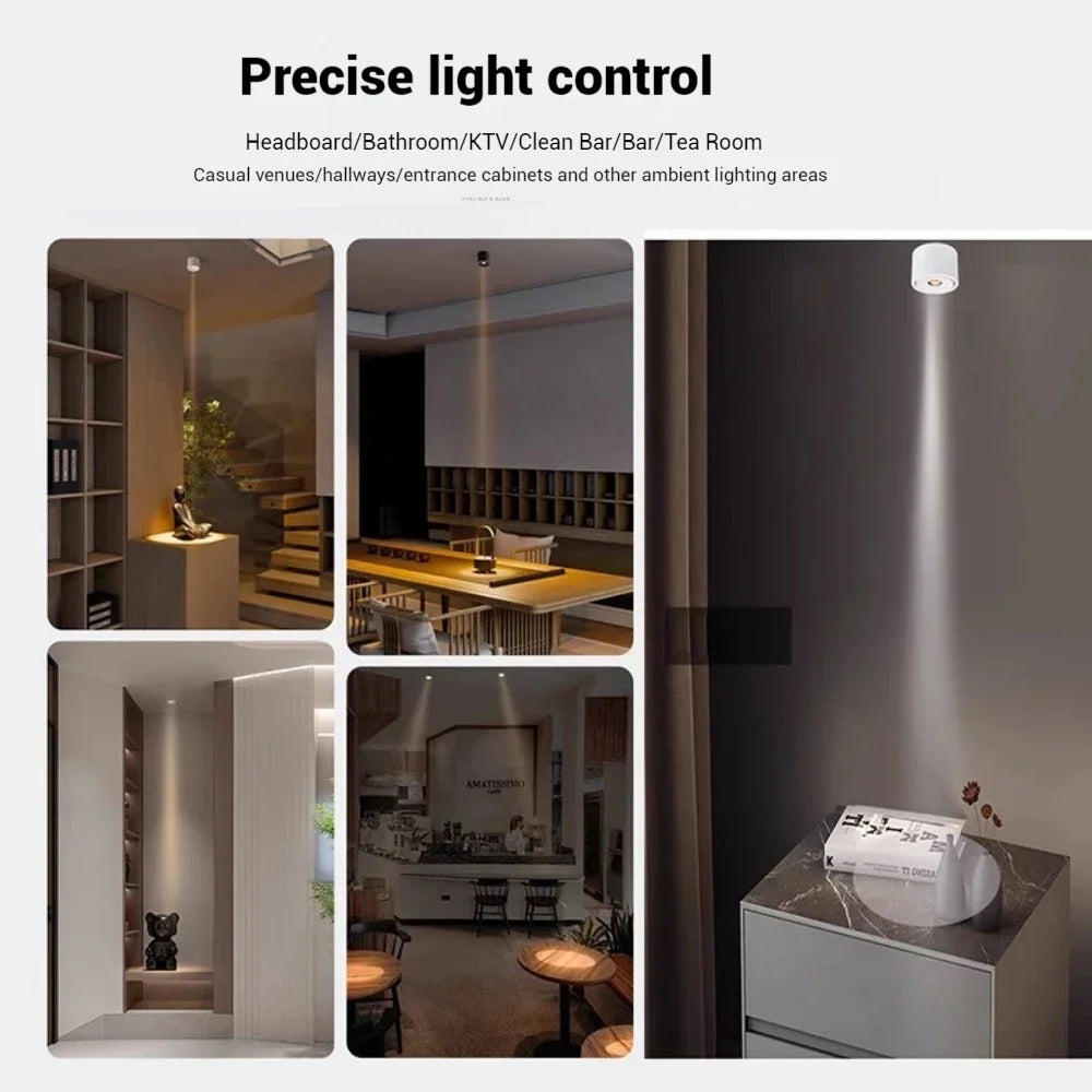 Deloran – Dimmable Ceiling Spotlight with Narrow Beam Angle