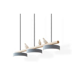 Cliff Suspension Bird