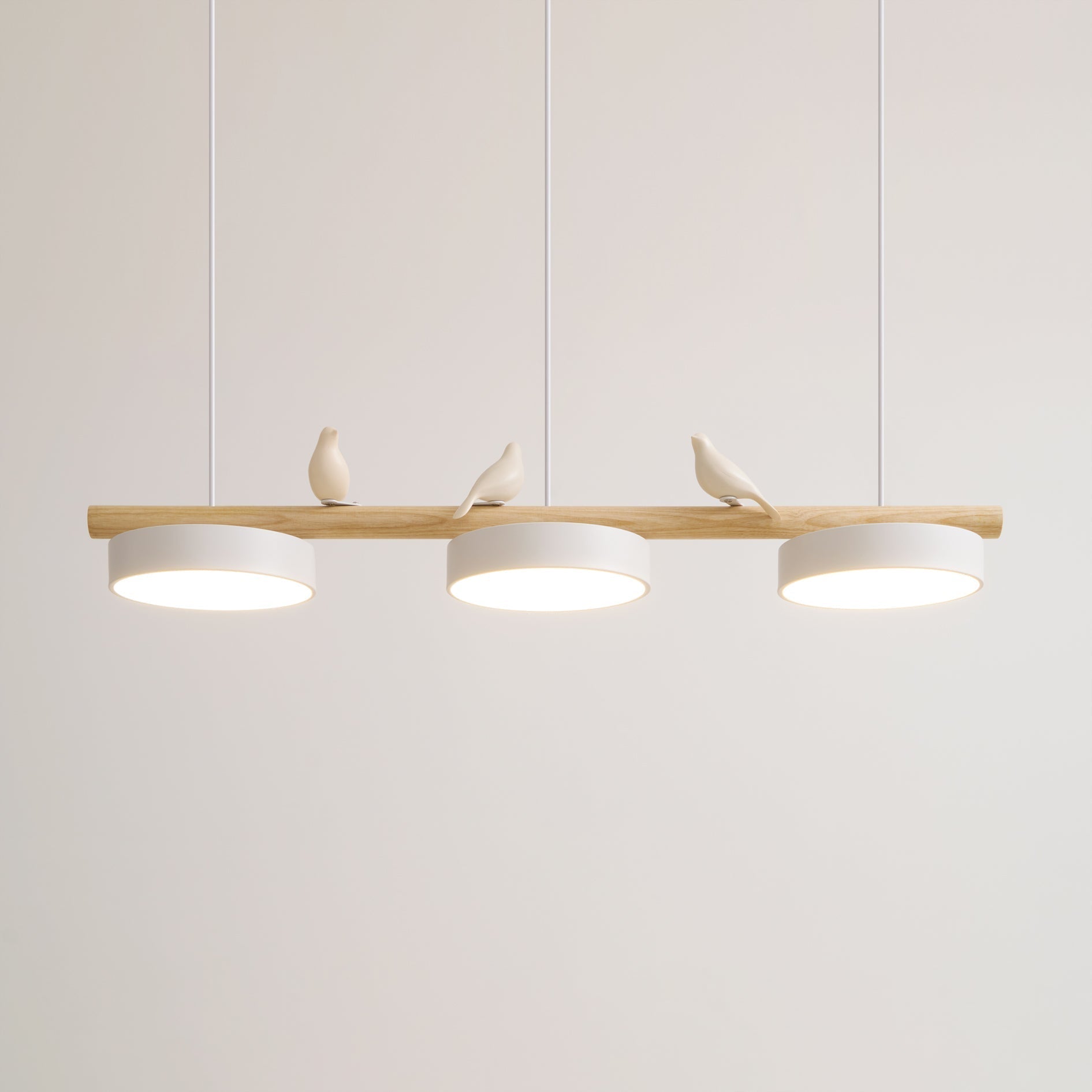 Cliff Suspension Bird