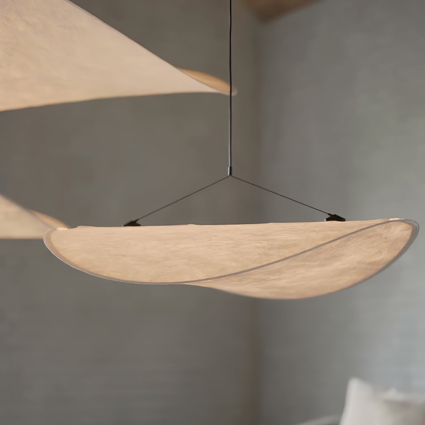 Sereca Suspension in Paper and Fiberglass