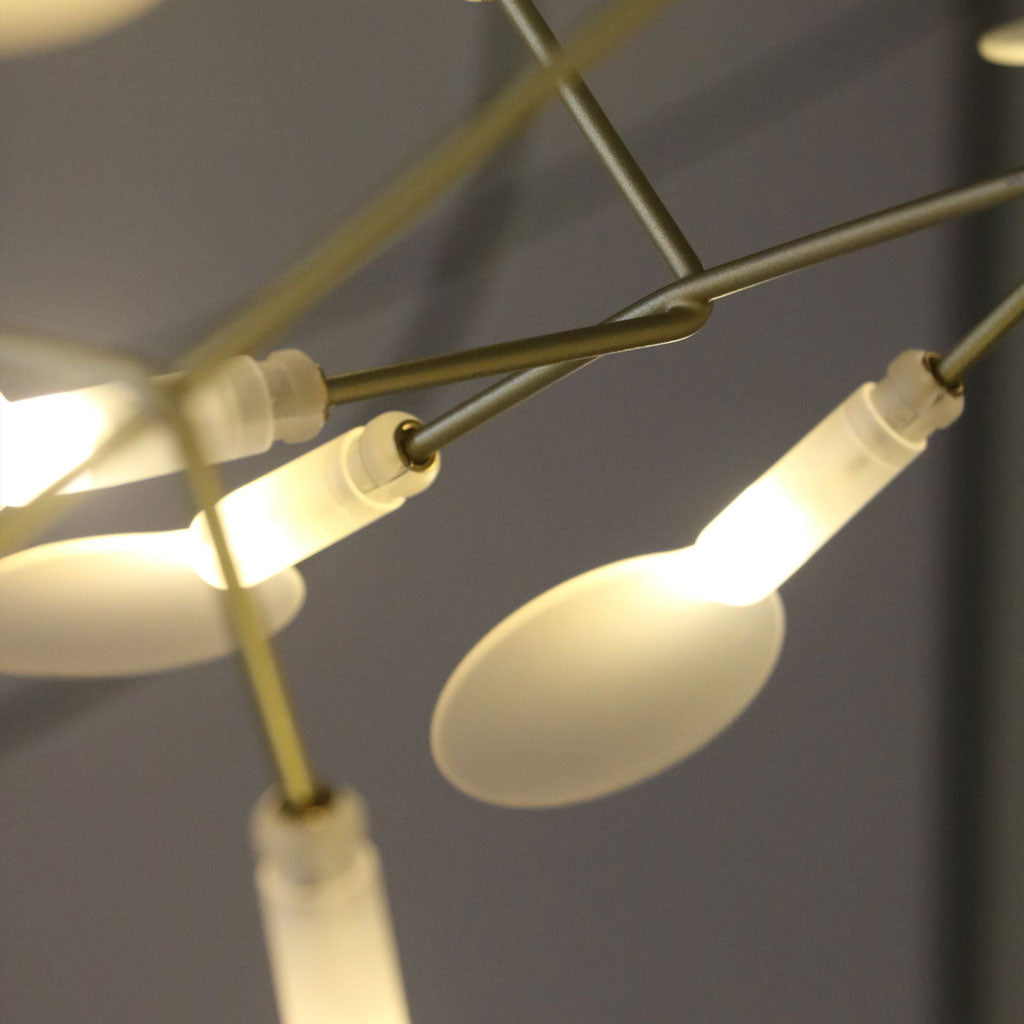 Titan Heracleum pendant light