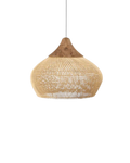 The Celestial Sphere