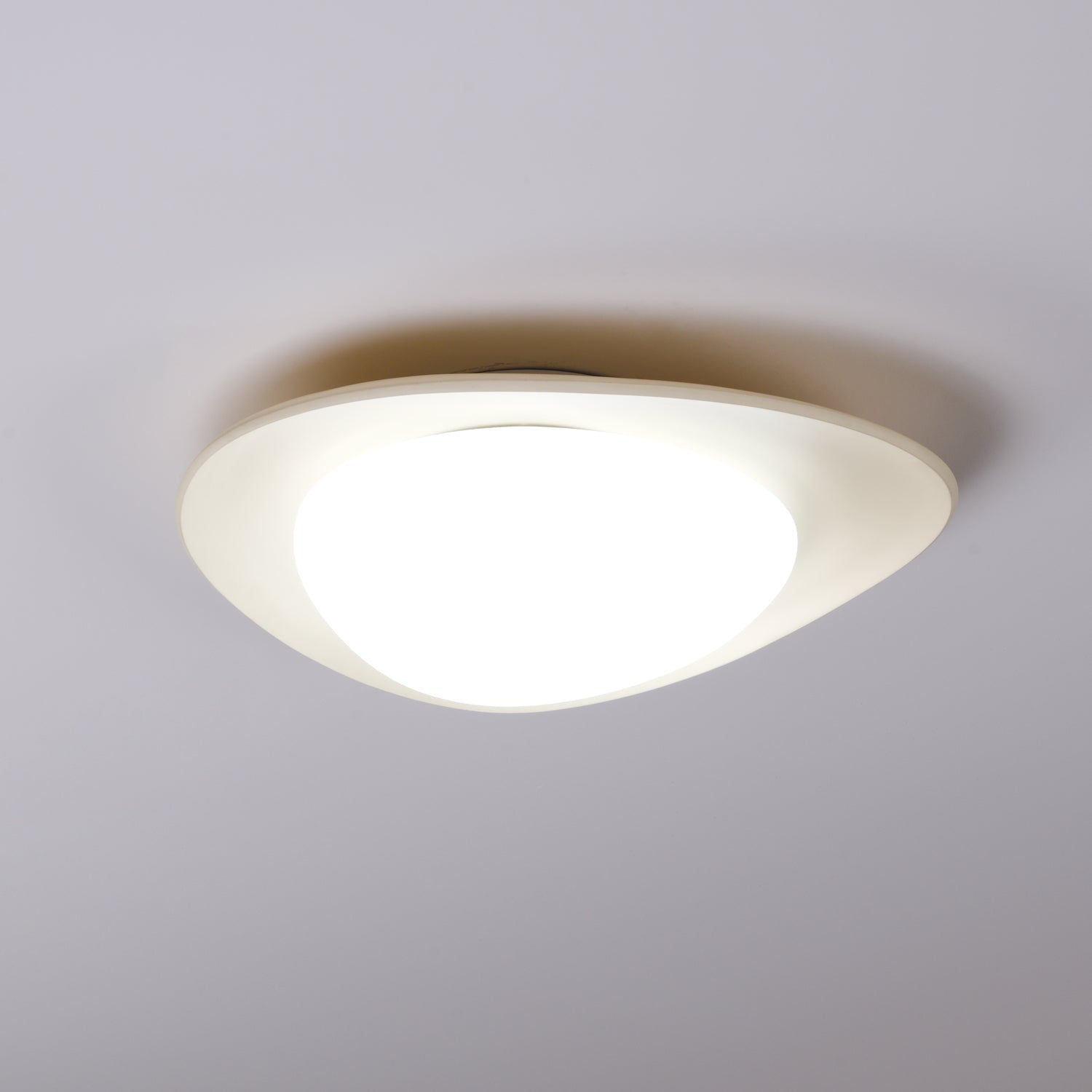 Fiolynn – Leaf-Shaped Ceiling Lamp