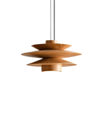 The Elegant Vortex