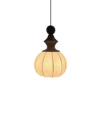 The Silk Light