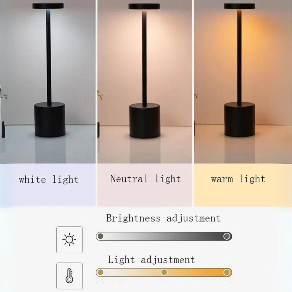 Kylie Modern Style LED Desk Lamp