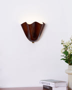 Elegant Wall Lamp with Soft Curves