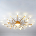 Arisha Ceiling Light Firework Modern Design LED Living Room Bedroom