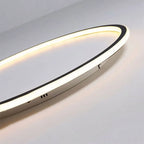 Zev Round Hollow Ceiling Light