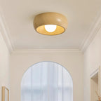 Zuwa Ceiling Light