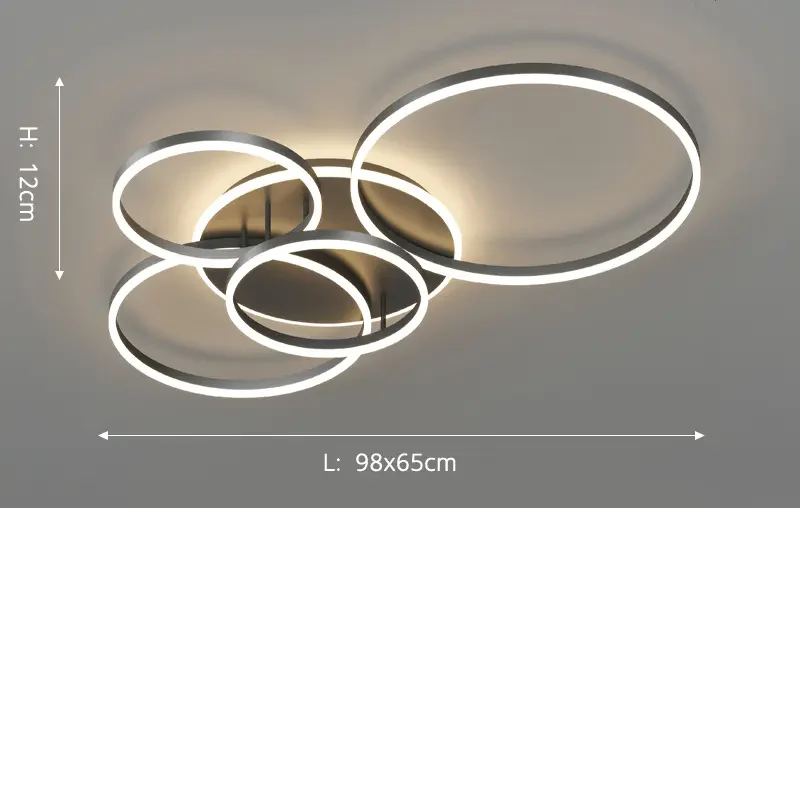 Velia - Modern Black Ceiling Lamp