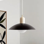 Maryam Morandi UFO Pendant Light