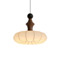 The Silk Light