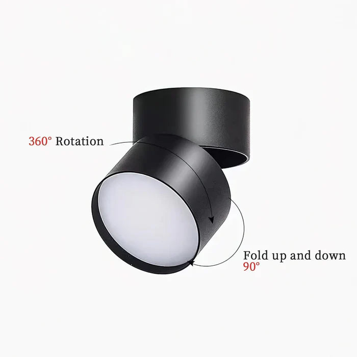 Modern Adjustable LED Ceiling Lamp
