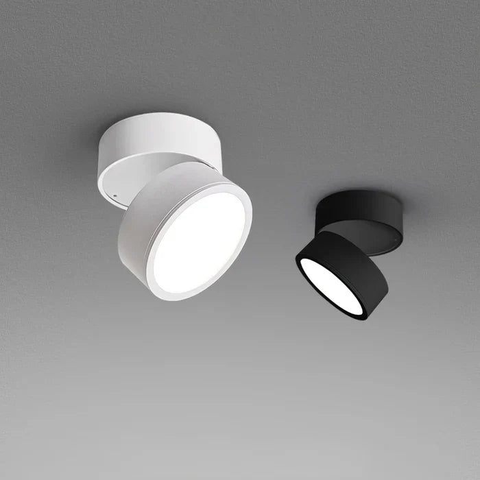 Modern Adjustable LED Ceiling Lamp