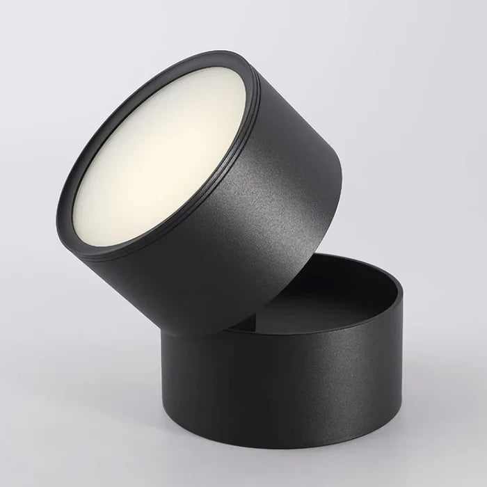 Modern Adjustable LED Ceiling Lamp