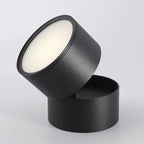 Modern Adjustable LED Ceiling Lamp