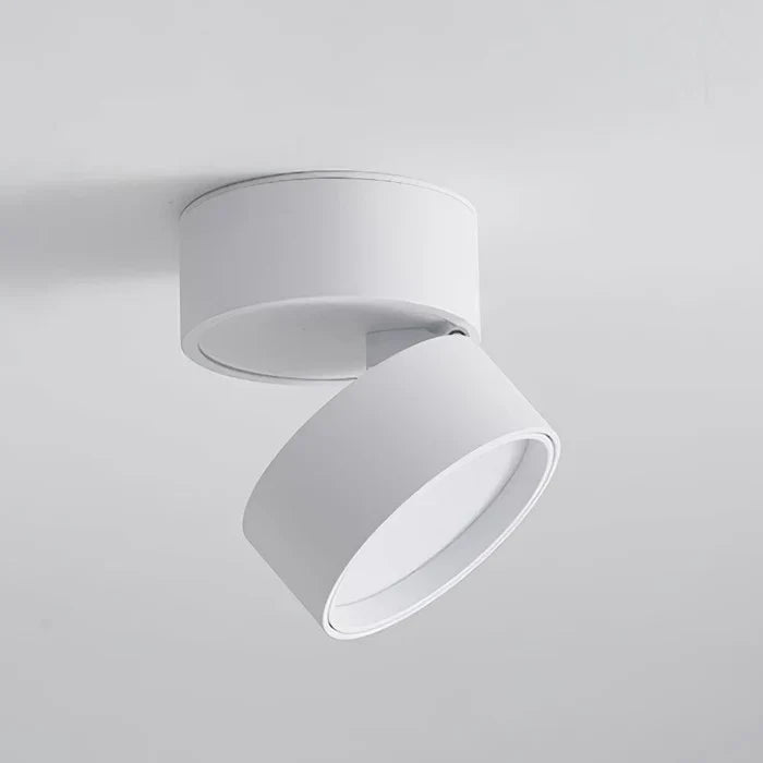 Modern Adjustable LED Ceiling Lamp