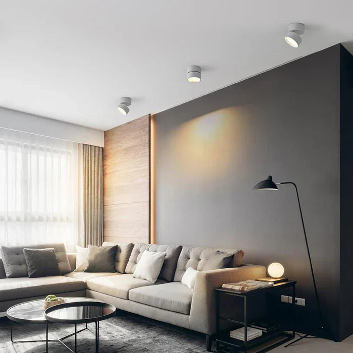 Modern Adjustable LED Ceiling Lamp
