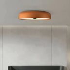 Modern LED Ceiling Light Minimalist