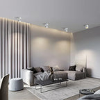 Modern Adjustable LED Ceiling Lamp