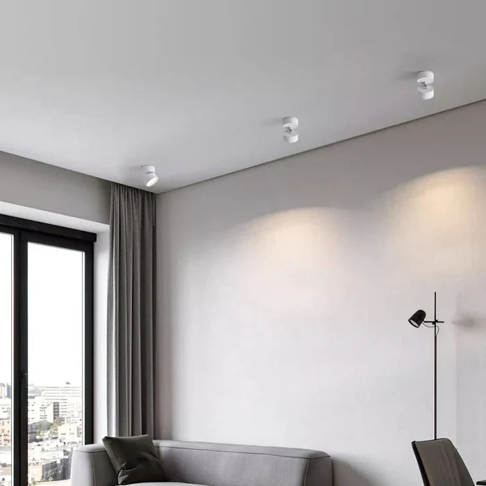 Modern Adjustable LED Ceiling Lamp