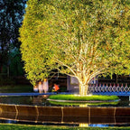 LED Tree Lighting – Round 360° Ground Lamp for Garden, Driveway, and Landscape