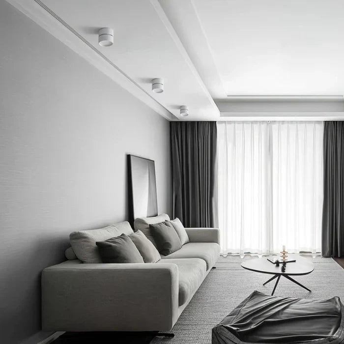Modern Adjustable LED Ceiling Lamp