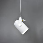 Modern Adjustable Pendant Lamp – Colorful Designer Ceiling Light
