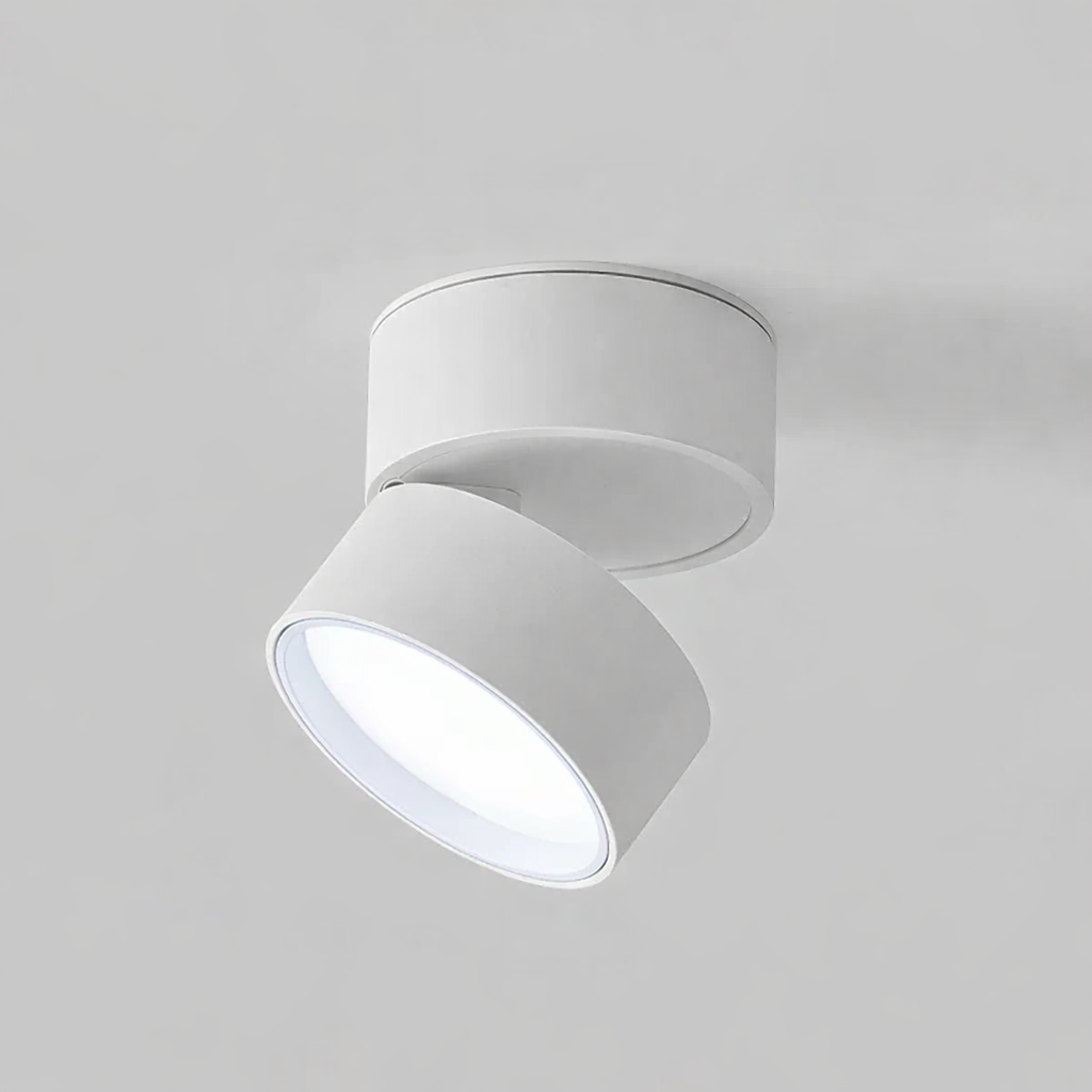 Modern Adjustable LED Ceiling Lamp