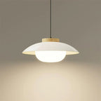 Modern Glass Pendant Lamp – Minimalist Design with Wooden Accent